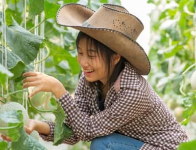 שנה את התזונה שלך עם ארוחה אורגנית