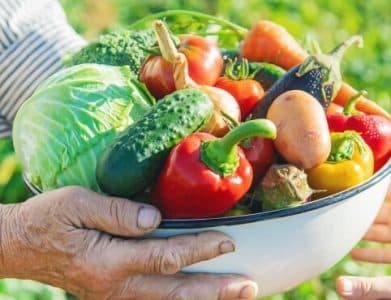 שנה את התזונה שלך עם ארוחה אורגנית 3